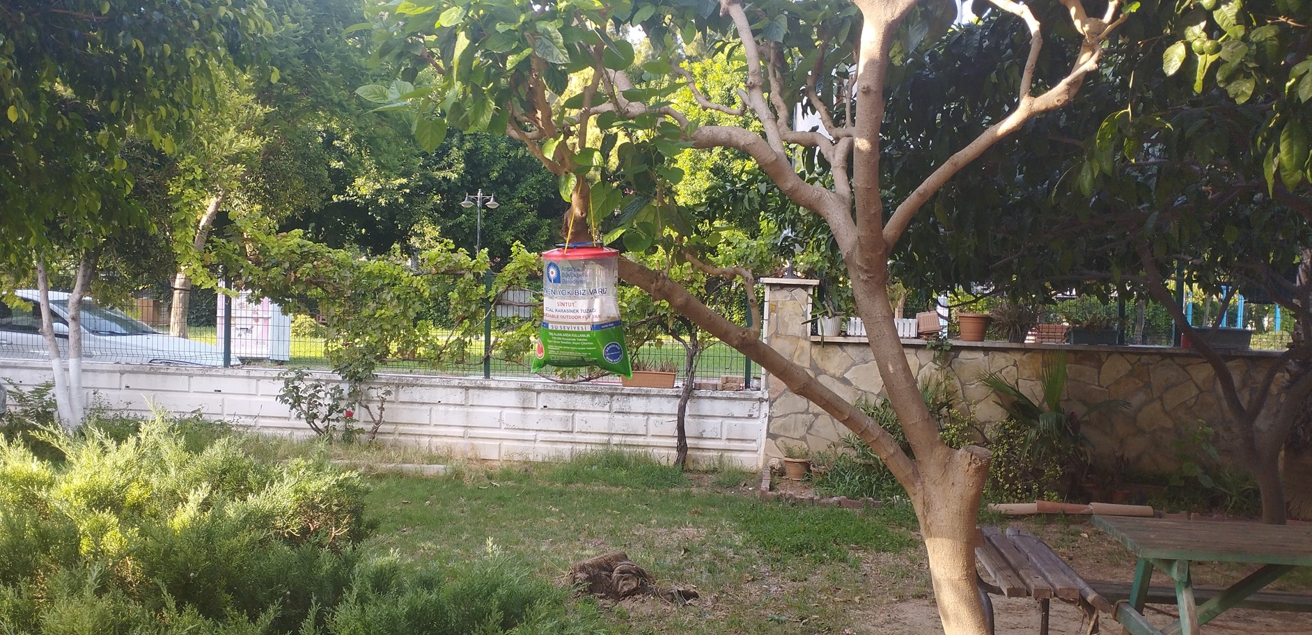 Bahçemizde Karasinek ile Mücadelede Doğal Dönem: Antalya Büyükşehir Belediyesi İş Birliğiyle Tuzaklar Kuruldu